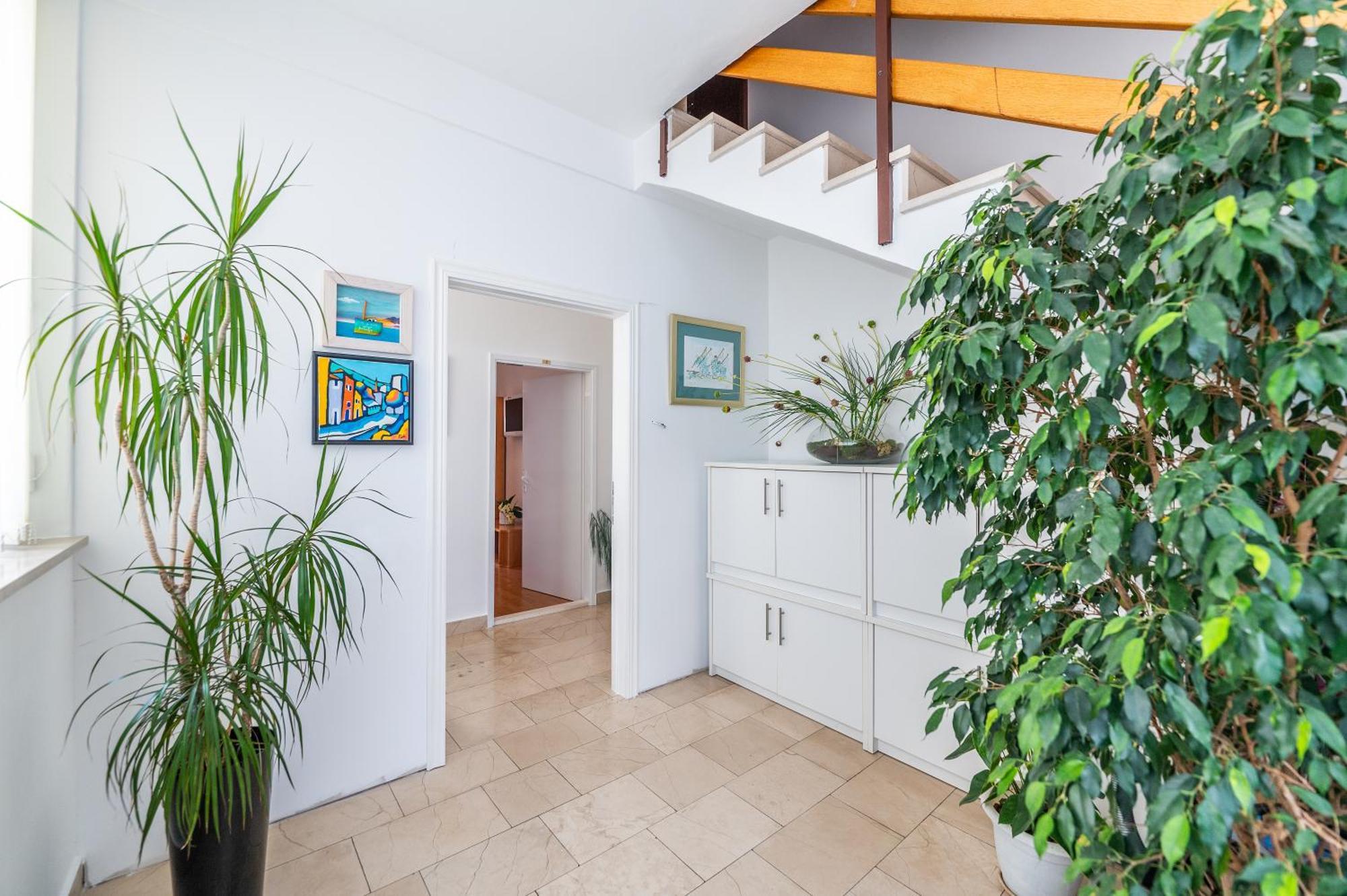 Apartments Sokol Makarska Extérieur photo